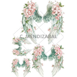 copy of 
